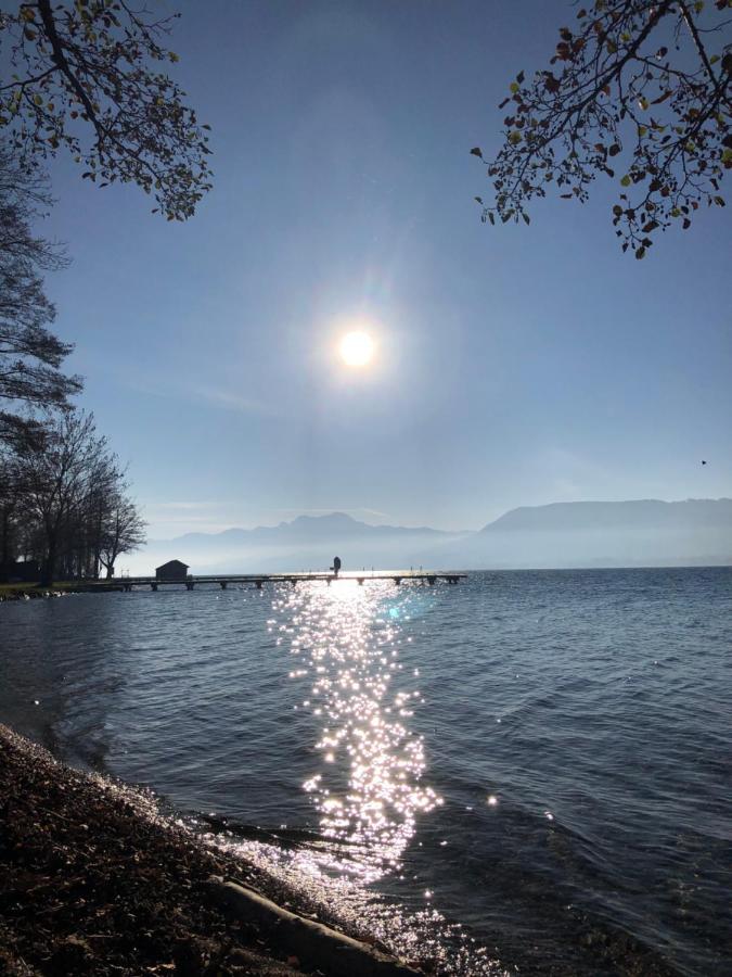 Fewo Atterseeperle - 80M2 Mit See- Und Gebirgsblick Steinbach am Attersee Exterior photo